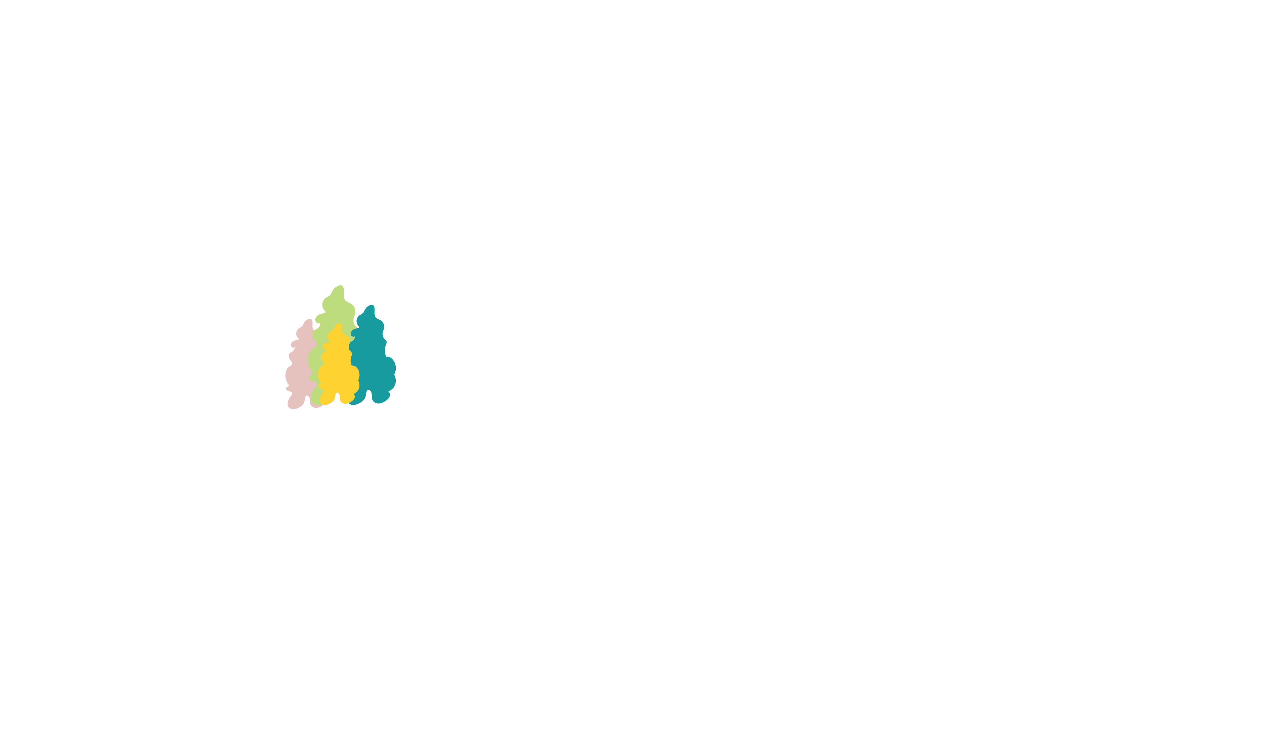 TeamMade